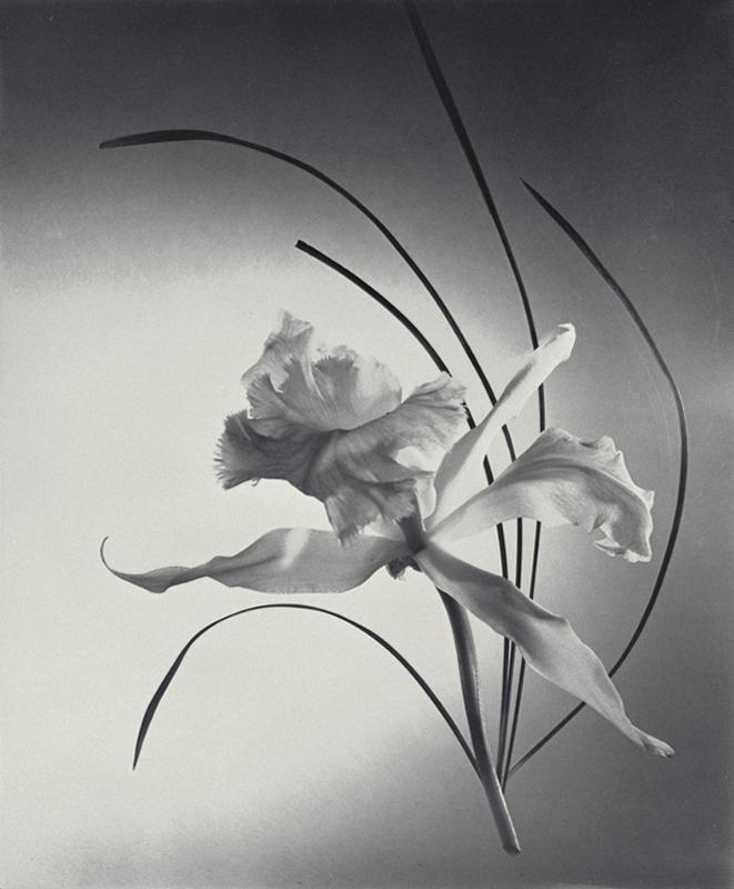 The Independent Administrative Institution National Museum of Art