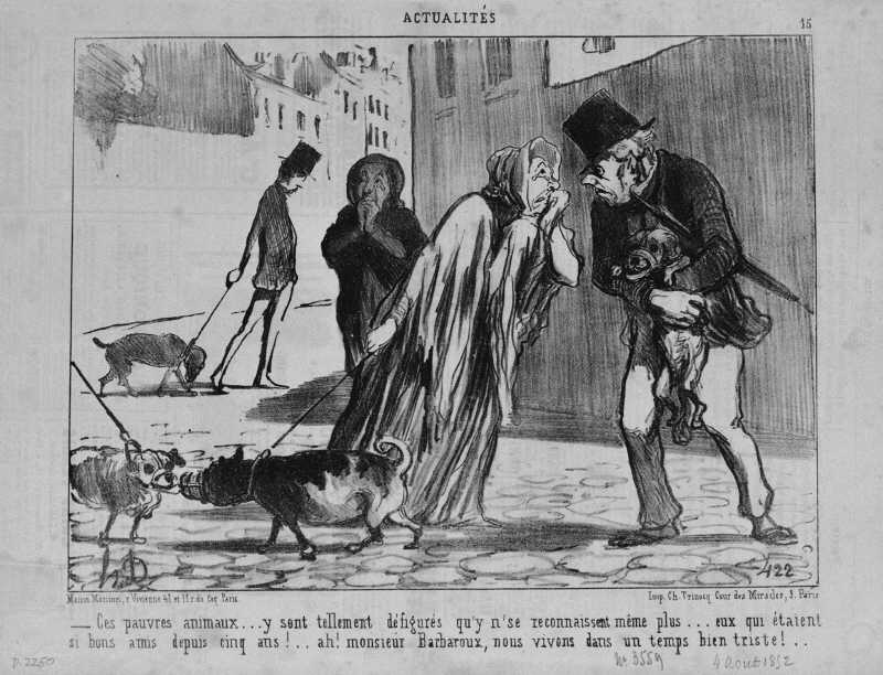 できごと 15 ああ なんてかわいそうなペットちゃんたち これじゃ不細工すぎておんなじ犬同士だってことすら全然わからないのね 5年も 仲良しだったのに ああ バルバルーさん なんて淋しいんでしょう ドーミエ オノレ 1808 1879