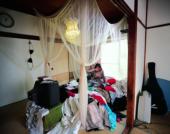 Happy Victims: Alexander McQueen