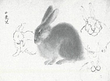 Sketch of Baby-hares 1