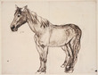 Sketch of Horse 4