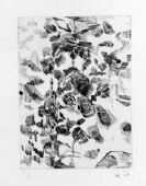 EI-Q Etchings, SCALE V