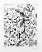 EI-Q Etchings, SCALE V