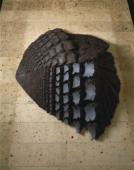 The Geological Age 14