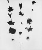 Genealogical flora (small pink)