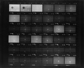 ‘moon’ score 1979.1.1