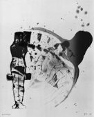 Catcher of Lightning L-No.25