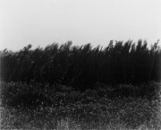 独立行政法人国立美術館・所蔵作品検索