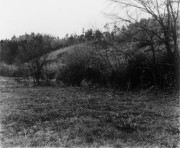 独立行政法人国立美術館・所蔵作品検索