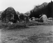 独立行政法人国立美術館・所蔵作品検索