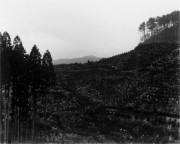 独立行政法人国立美術館・所蔵作品検索