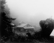 独立行政法人国立美術館・所蔵作品検索