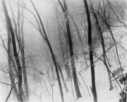 独立行政法人国立美術館・所蔵作品検索