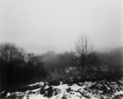 独立行政法人国立美術館・所蔵作品検索