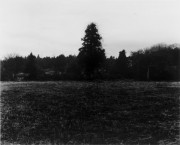 独立行政法人国立美術館・所蔵作品検索